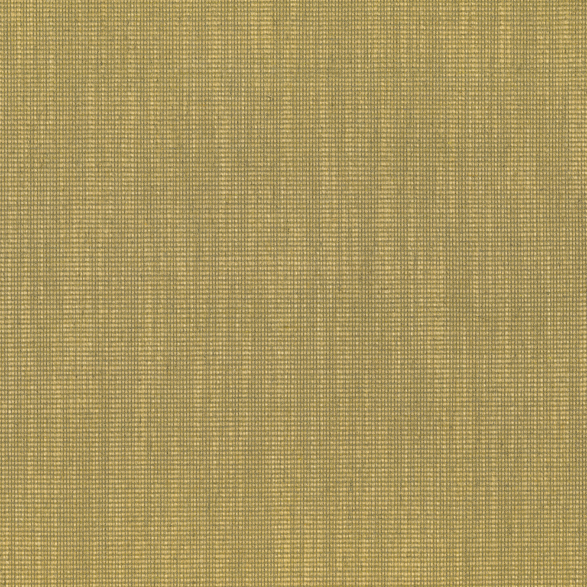 TATAMI 05